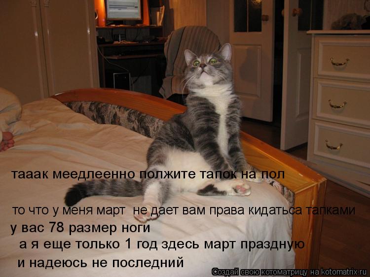 Котоматрица: то что у меня март  не дает вам права кидатьса тапками тааак меедлеенно полжите тапок на пол  у вас 78 размер ноги    а я еще только 1 год здесь м