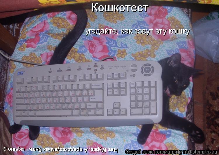 Котоматрица: Кошкотест угадайте, как зовут эту кошку Нет, Мурка. А предсказуемым быть - скучно ;)