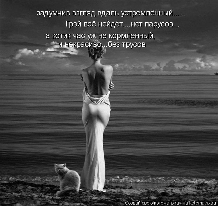 Котоматрица: задумчив взгляд вдаль устремлённый...... а котик час уж не кормленный, Грэй всё нейдёт....нет парусов... и некрасиво...без трусов