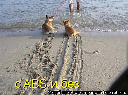 Котоматрица: с ABS и без