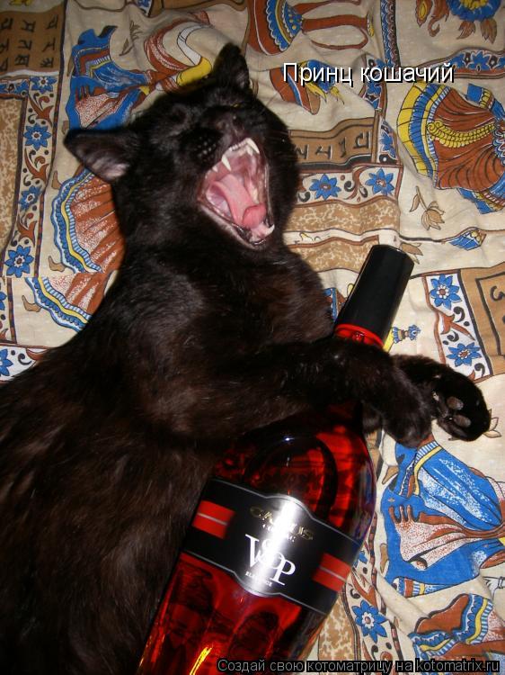 Котоматрица: Принц кошачий