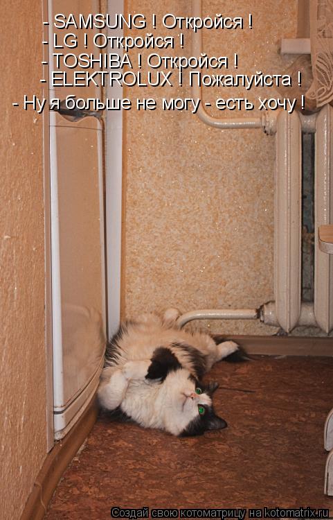 - SAMSUNG ! Откройся ! - LG ! Откройся ! - TOSHIBA ! Откройся ! - ELEKTROLUX ! Пожалуйста ! - Ну я бо... Котоматрица: - SAMSUNG ! Откройся ! - LG ! Откройся ! - TOSHIBA ! Откройся ! - ELEKTROLUX ! Пожалуйста ! - Ну я больше не могу - есть хочу !