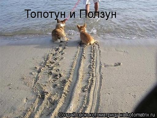 Котоматрица: Топотун и Ползун