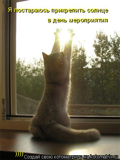 Котоматрица: Я постараюсь прикрепить солнце  в день мероприятия  ))))