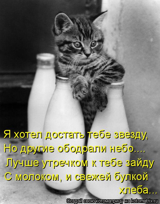 Я хотел достать тебе звезду, Но другие ободрали небо.... Лучше утречком к тебе зайду С молоком, и св... Котоматрица: Я хотел достать тебе звезду, Но другие ободрали небо.... Лучше утречком к тебе зайду С молоком, и свежей булкой хлеба...