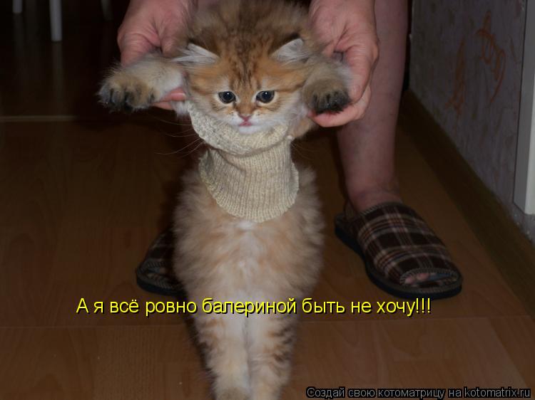А я всё ровно балериной быть не хочу!!!... Котоматрица: А я всё ровно балериной быть не хочу!!!