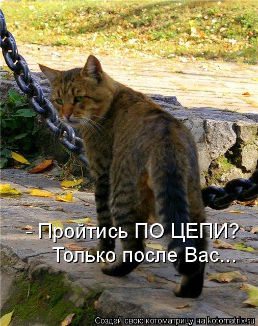 Котоматрица: - Пройтись ПО ЦЕПИ? Только после Вас...