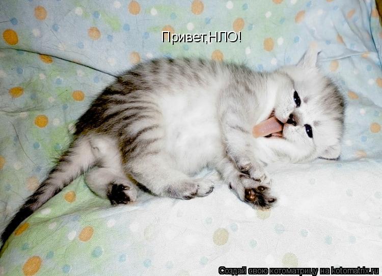Котоматрица: Привет,НЛО!