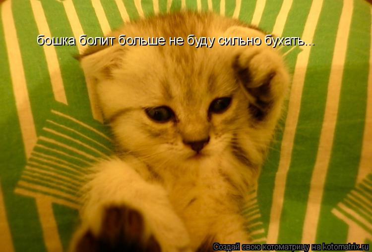 Котоматрица: бошка болит больше не буду сильно бухать...