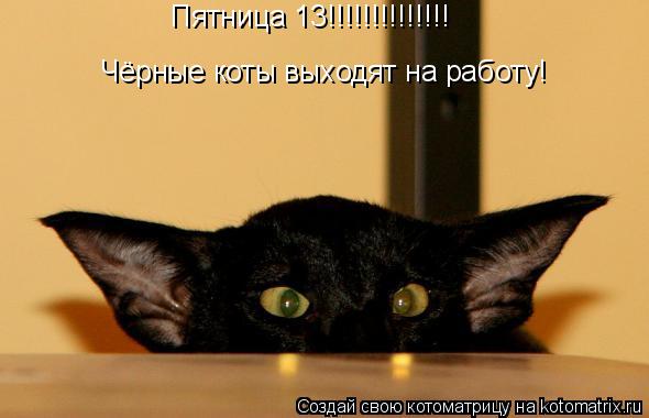 Котоматрица: Пятница 13!!!!!!!!!!!!!! Чёрные коты выходят на работу!