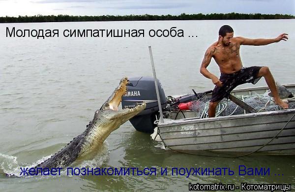 Котоматрица: Молодая симпатишная особа ... ... желает познакомиться и поужинать Вами ...
