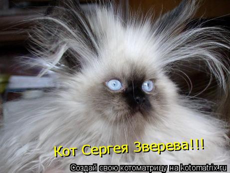 Котоматрица: Кот Сергея Зверева!!!