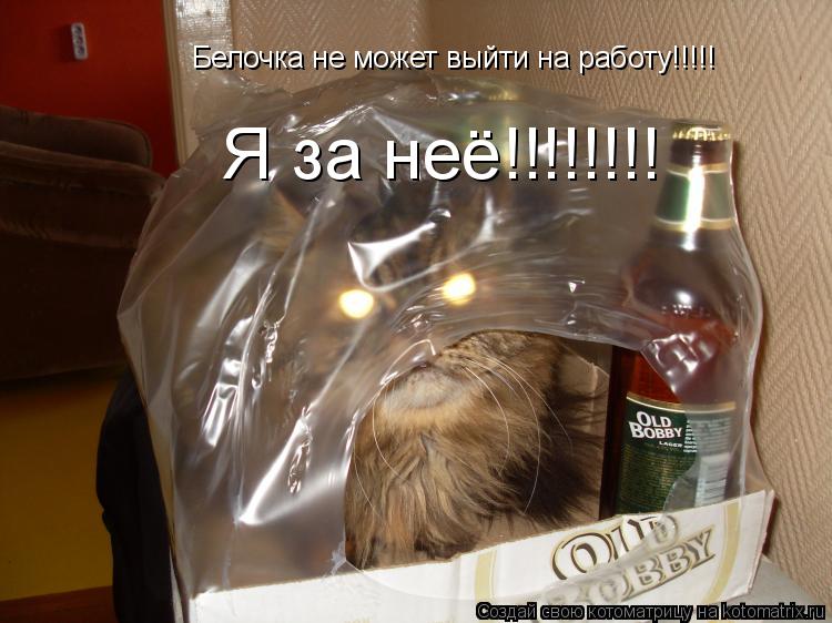 Котоматрица: Белочка не может выйти на работу!!!!!  Я за неё!!!!!!!!