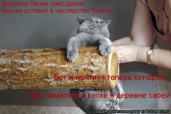 Котоматрица: Дедушка Ленин умер давно. Ваське оставил в наследство бревно. Вот и мечтает теперь котофей Про памятник в кепке в деревне своей.