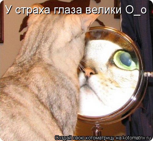 Котоматрица: У страха глаза велики О_о