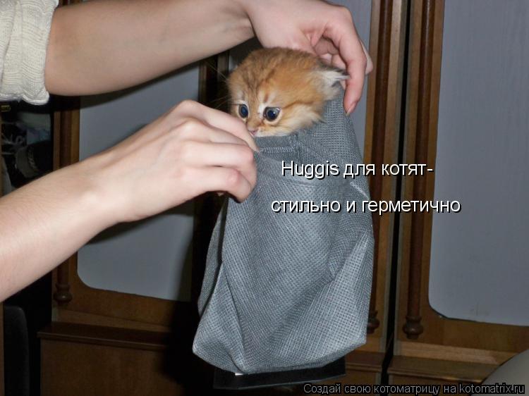Котоматрица: Huggis для котят- стильно и герметично