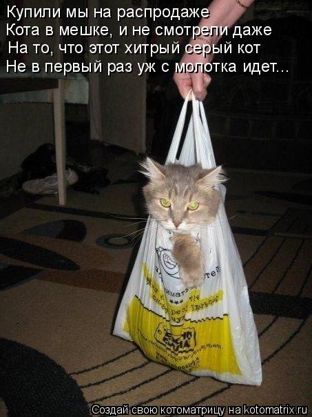 Кота в мешке, и не смотрели даже На то, что этот хитрый серый кот Не в первый раз уж с молотка идет.... Котоматрица: Кота в мешке, и не смотрели даже На то, что этот хитрый серый кот Не в первый раз уж с молотка идет... Купили мы на распродаже
