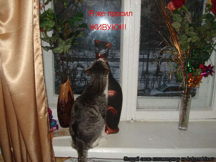 Котоматрица: Я же просил  ЖИВУЮ!!!