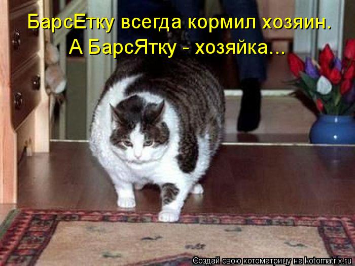 Котоматрица: БарсЕтку всегда кормил хозяин. А БарсЯтку - хозяйка...