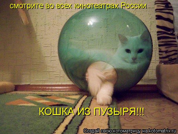 Котоматрица: смотрите во всех кинотеатрах России КОШКА ИЗ ПУЗЫРЯ!!!