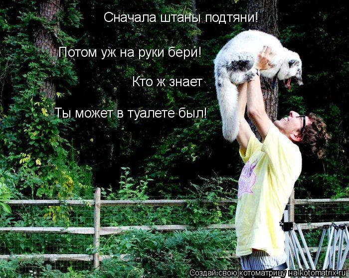 Котоматрица: Сначала штаны подтяни!  Потом уж на руки бери! Кто ж знает Ты может в туалете был!