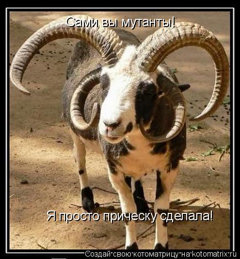 Котоматрица: Сами вы мутанты! Я просто прическу сделала!