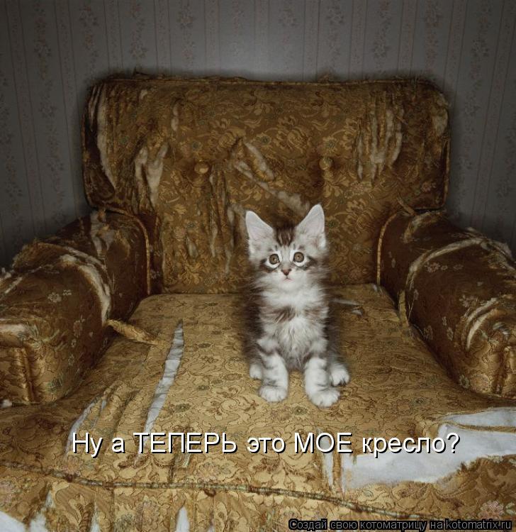 Ну а ТЕПЕРЬ это МОЕ кресло?... Котоматрица: Ну а ТЕПЕРЬ это МОЕ кресло?