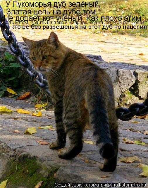 Котоматрица: У Лукоморья дуб зелёный, Златая цепь на дубе том. Не додает кот учёный. Как плохо этим Быть котом. Ходить на лево и направо, ходить по этой вот