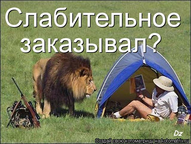 Котоматрица: Слабительное заказывал?