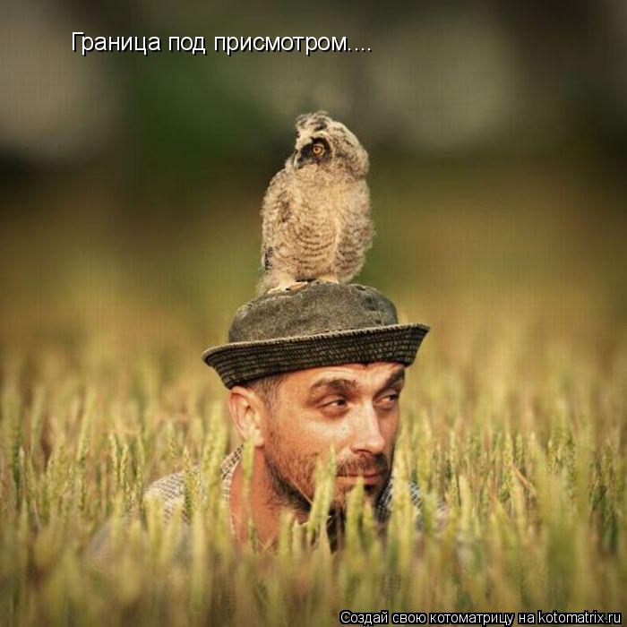 Котоматрица: Граница под присмотром....