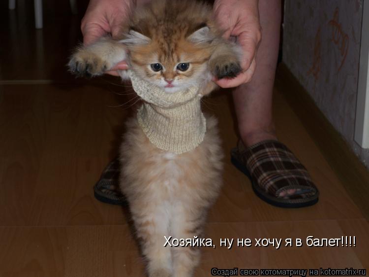 Котоматрица: Хозяйка, ну не хочу я в балет!!!!