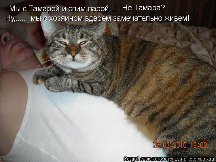 Котоматрица: Мы с Тамарой и спим парой....   Не Тамара?  Ну,...... мы с хозяином вдвоем замечательно живем!