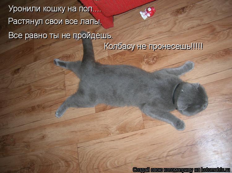 Котоматрица: Уронили кошку на пол....  Все равно ты не пройдешь. Колбасу не пронесешь!!!!! Все равно ты не пройдешь. Колбасу не пронесешь!!!!! Растянул свои все