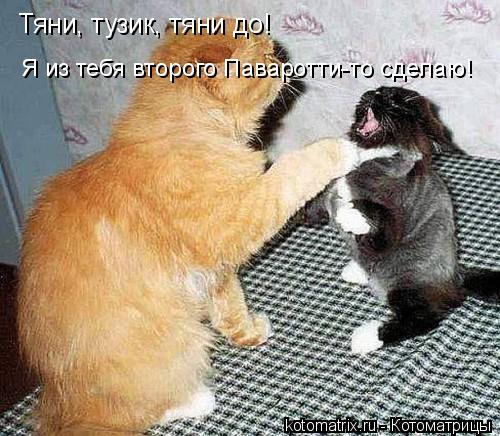 Котоматрица: Тяни, тузик, тяни до!  Я из тебя второго Паваротти-то сделаю!