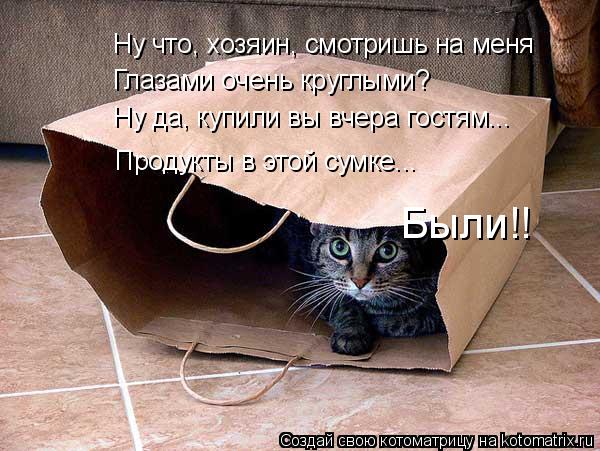 Котоматрица: Ну что, хозяин, смотришь на меня Глазами очень круглыми? Ну да, купили вы вчера гостям... Продукты в этой сумке... Были!!