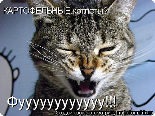 Котоматрица: КАРТОФЕЛЬНЫЕ котлеты? Фуууууууууууу!!!