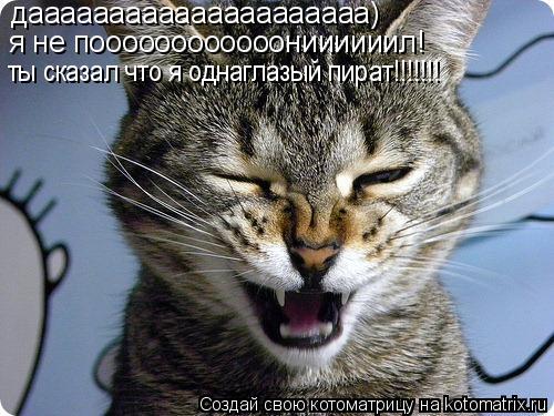 дааааааааааааааааааааа) я не поооооооооооониииииил! ты сказал что я однаглазый пират!!!!!!!... Котоматрица: дааааааааааааааааааааа) я не поооооооооооониииииил! ты сказал что я однаглазый пират!!!!!!!