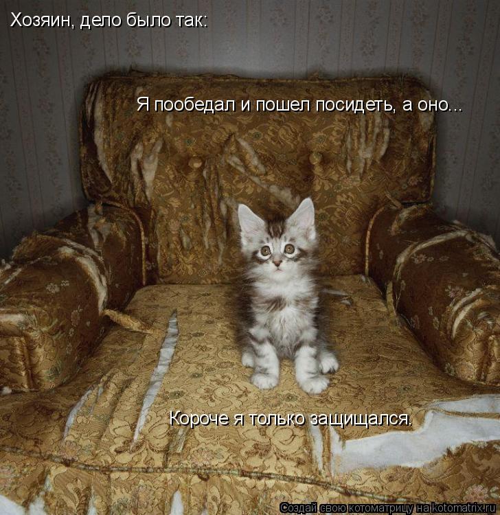 Котоматрица: Хозяин, дело было так: Я пообедал и пошел посидеть, а оно... Короче я только защищался.