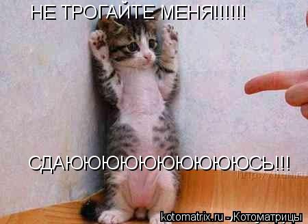 Котоматрица: НЕ ТРОГАЙТЕ МЕНЯ!!!!!! СДАЮЮЮЮЮЮЮЮЮЮСЬ!!!