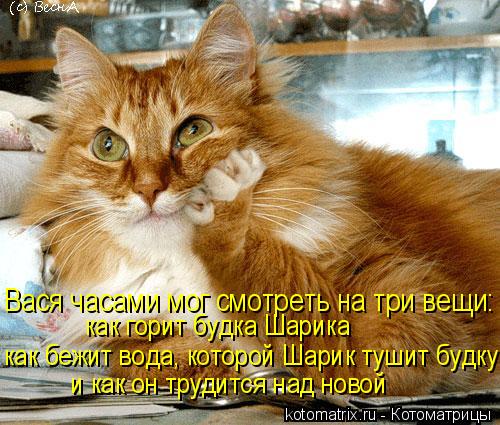 и как он трудится над новой как бежит вода, которой Шарик тушит будку как горит будка Шарика Вася час... Котоматрица: и как он трудится над новой как бежит вода, которой Шарик тушит будку как горит будка Шарика Вася часами мог смотреть на три вещи: