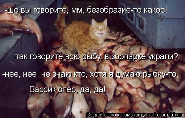 Котоматрица: -шо вы говорите, мм, безобразие-то какое! -так говорите всю рыбу, в зоопарке украли? -нее, нее  не знаю кто, хотя я думаю рыбку-то, Барсик спёр, да
