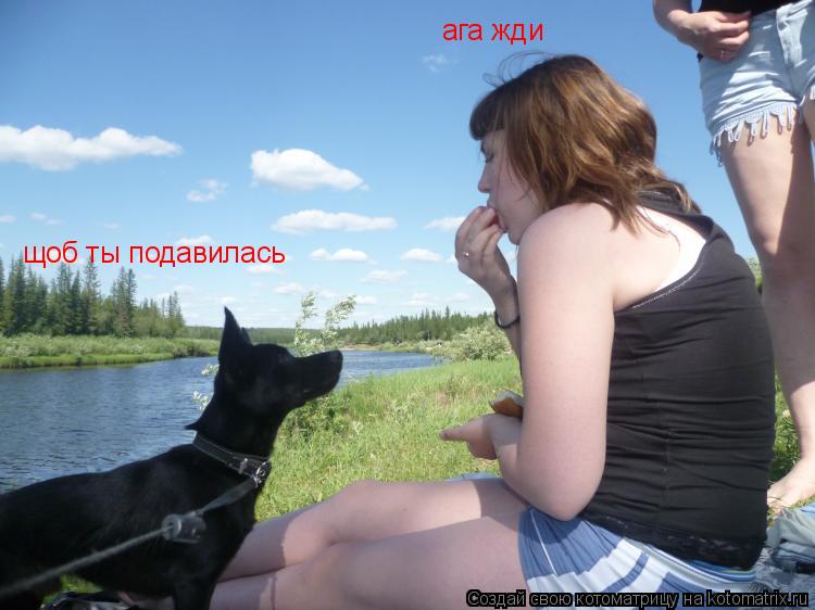 Котоматрица: щоб ты подавилась ага жди