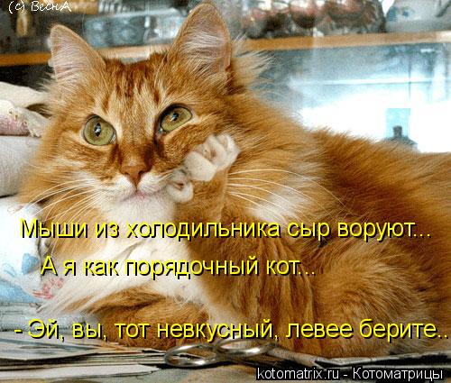 Котоматрица: А я как порядочный кот... - Эй, вы, тот невкусный, левее берите... Мыши из холодильника сыр воруют...
