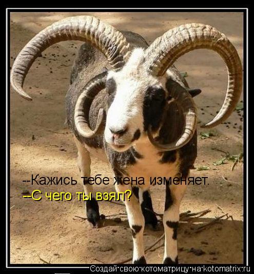 --Кажись тебе жена изменяет. --С чего ты взял?... Котоматрица: --Кажись тебе жена изменяет. --С чего ты взял?