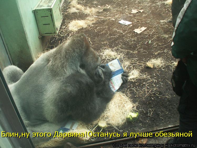Блин,ну этого Дарвина!Останусь я лучше обезьяной... Котоматрица: Блин,ну этого Дарвина!Останусь я лучше обезьяной