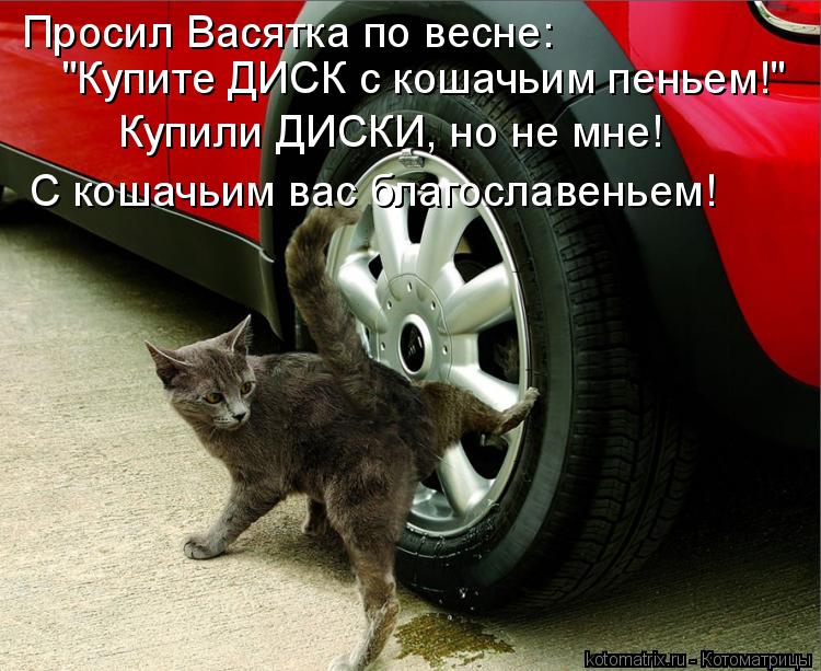Просил Васятка по весне: "Купите ДИСК с кошачьим пеньем!" Купили ДИСКИ, но не мне! С кошачьим вас бл... Котоматрица: Просил Васятка по весне: "Купите ДИСК с кошачьим пеньем!" Купили ДИСКИ, но не мне! С кошачьим вас благославеньем!