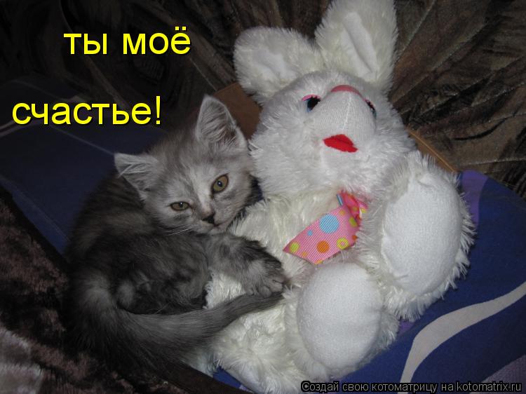 ты моё счастье!... Котоматрица: ты моё счастье!