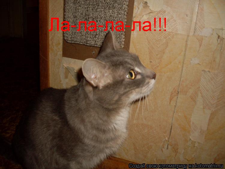 Ла-ла-ла-ла!!!... Котоматрица: Ла-ла-ла-ла!!!