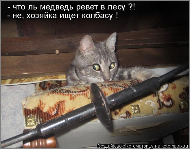 - что ль медведь ревет в лесу ?! - не, хозяйка ищет колбасу !... Котоматрица: - что ль медведь ревет в лесу ?! - не, хозяйка ищет колбасу !