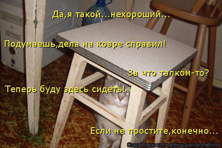 Да,я такой...нехороший... Подумаешь,дела на ковре справил! За что тапком-то? Теперь буду здесь сидет... Котоматрица: Да,я такой...нехороший... Подумаешь,дела на ковре справил! За что тапком-то? Теперь буду здесь сидеть! Если не простите,конечно...